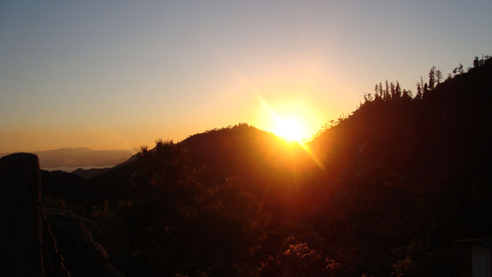 DSC07725