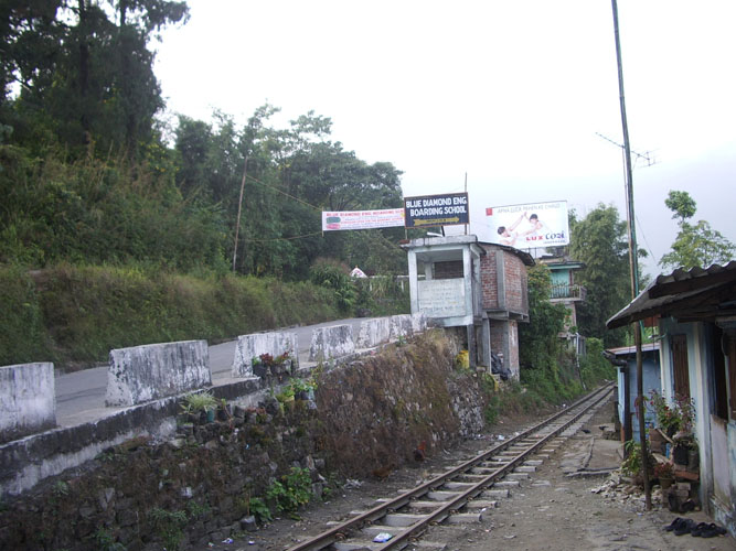 IMGP3413