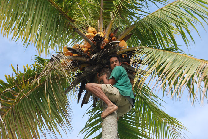 ClareDeal_Vanuatu_2009_66