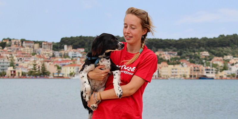 Animal Welfare Volunteer Greece